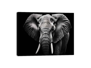 Black and white elephant canvas art for dramatic modern living room or office decor.