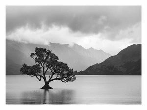 Black and white lake tree landscape canvas art for modern living room decor.