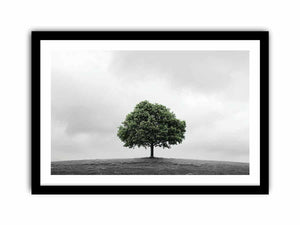 Framed Print