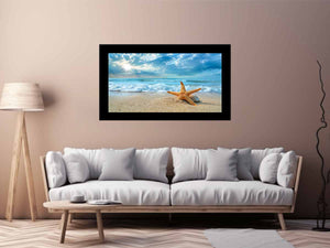 Starfish on Beach