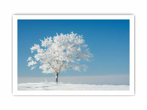 Frosted Solitude minimal winter landscape photography for bedroom decor.