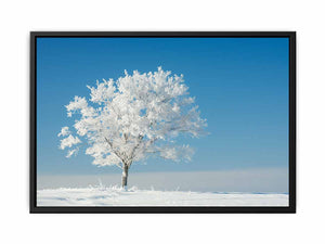 Solitary Tree Painting