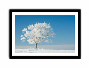 Solitary Tree Art Print