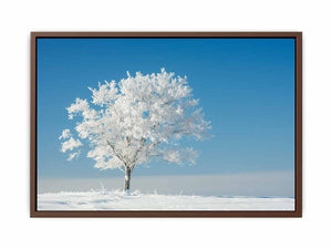 Solitary Tree Poster