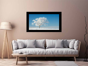 Solitary Tree