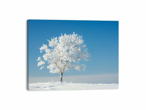 Solitary Tree Canvas Print