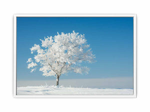 Solitary Tree Framed Print