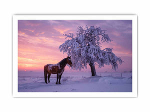 Horse beside frosted winter tree under violet sunset sky for peaceful wall art.