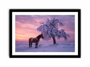 Horse beside frosted winter tree under violet sunset sky for peaceful wall art.