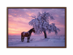 Horse beside frosted winter tree under violet sunset sky for peaceful wall art.