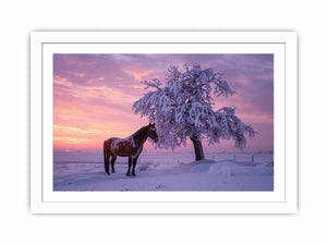 Horse beside frosted winter tree under violet sunset sky for peaceful wall art.