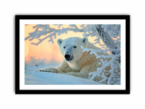 Framed Print