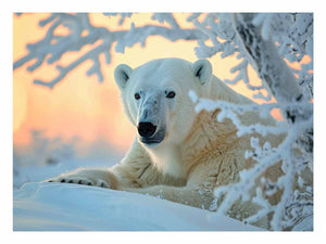 Polar bear resting in snowy Arctic scene for serene wildlife canvas wall art.