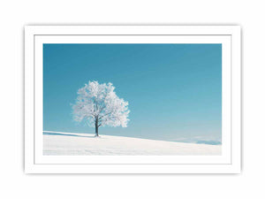 Winter Tree Streched canvas