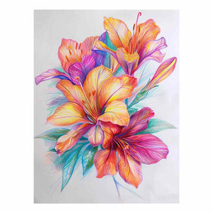 Colorful Flower