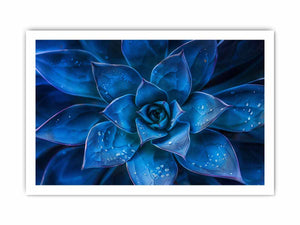 Moody blue succulent canvas art with water droplets for elegant modern room decor.
