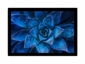 Moody blue succulent canvas art with water droplets for elegant modern room decor.