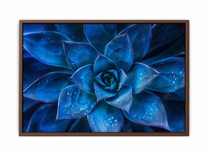 Moody blue succulent canvas art with water droplets for elegant modern room decor.