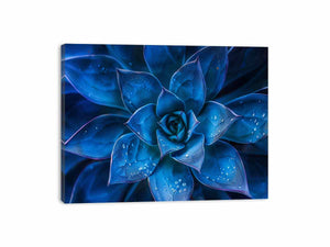 Moody blue succulent canvas art with water droplets for elegant modern room decor.