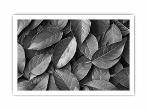 Black and white botanical leaves canvas art for calm modern bedroom decor.