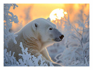 Bear Felling Cold