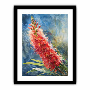 Framed Print