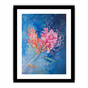 Grevillea Art Print