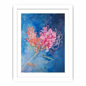 Grevillea Streched canvas