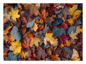 Autumn leaf