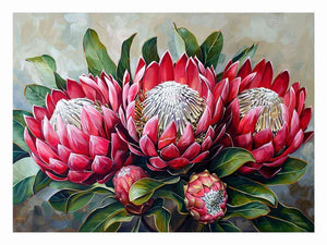 Waratah