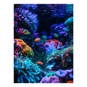 Fantasy Underwater