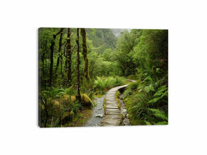 Lush green forest boardwalk canvas art for calming office or bedroom decor.