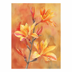 Kangaroo Paw