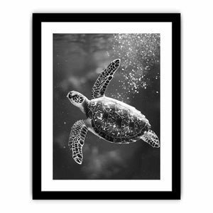 Framed Print