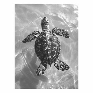 Black and white sea turtle canvas print for coastal bathroom decor.