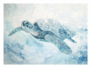 Ice Turtle