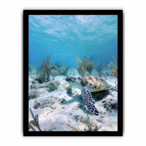 Underwater sea turtle canvas wall art for coastal bathroom decor.