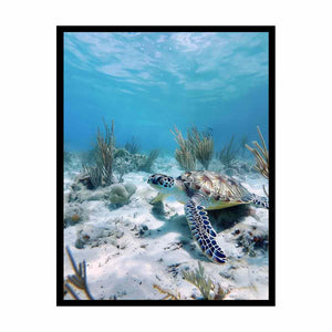 Underwater sea turtle canvas wall art for coastal bathroom decor.
