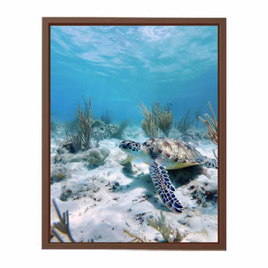 Underwater sea turtle canvas wall art for coastal bathroom decor.
