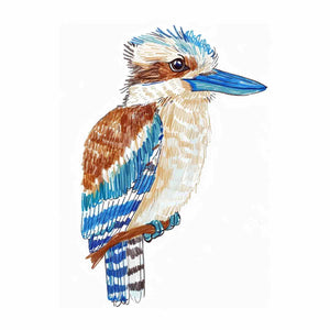 Cute Kookaburra