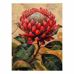 Waratah
