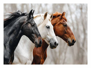 Three horses canvas art with black, white, and chestnut tones for rustic modern room decor.
