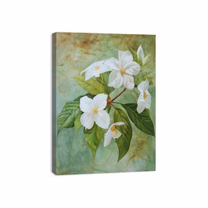 Streched canvas