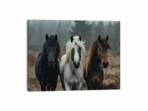 Streched canvas