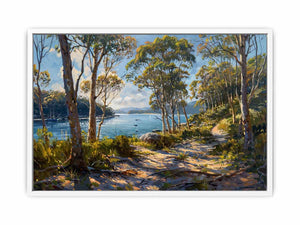 Aussie Landscape Framed Print