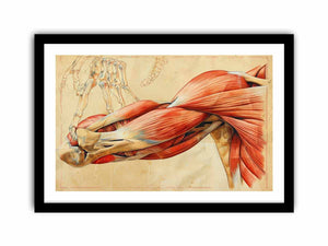 Framed Print