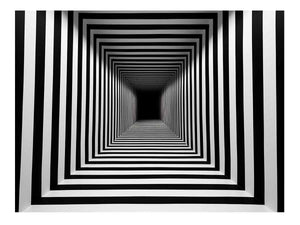 Infinite Contrast black and white optical illusion tunnel art for modern office decor.