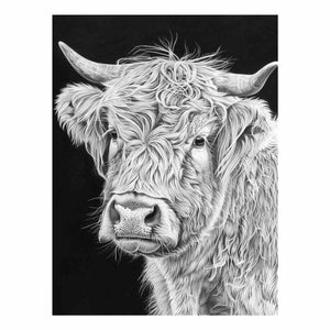 Black and white Highland cow portrait art for rustic farmhouse living room decor.