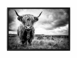 Stormy The Highland Cow Painting