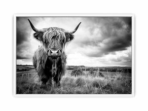 Black and white Highland cow landscape photography for rustic farmhouse decor.